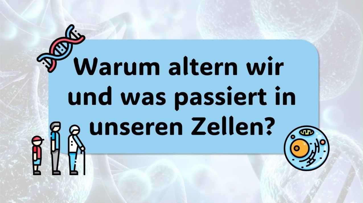 Lernen am Tablet 01