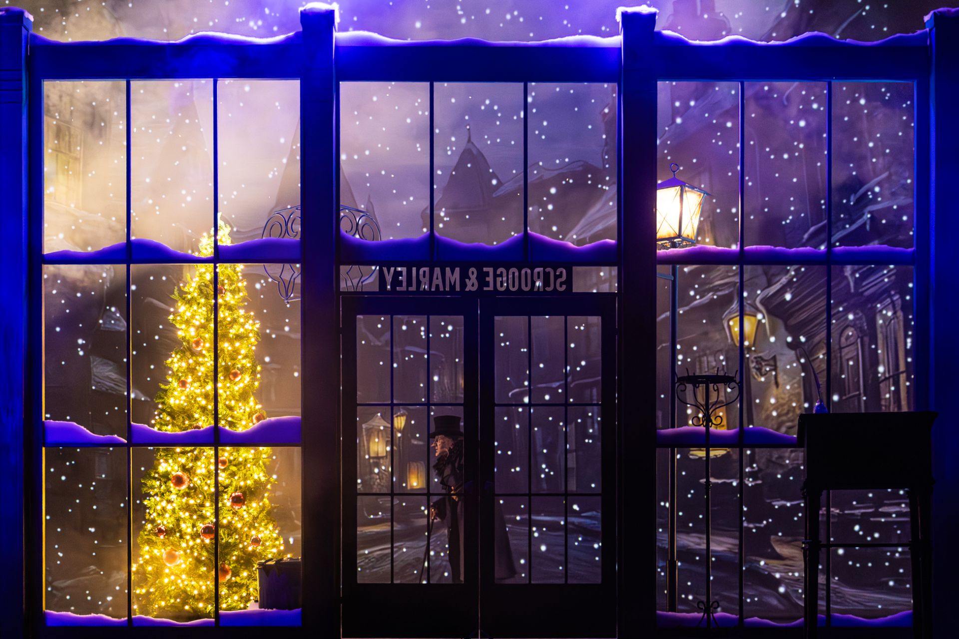 Neue Kollegen SJ 2025 2026